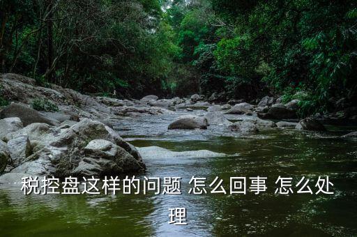 為什么稅控盤(pán)升級(jí)，稅控盤(pán)這樣的問(wèn)題 怎么回事 怎么處理