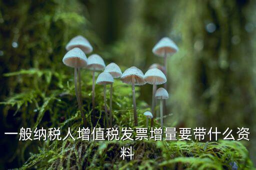 增加開(kāi)票人需要什么資料，申請(qǐng)開(kāi)票人變更需要哪些材料