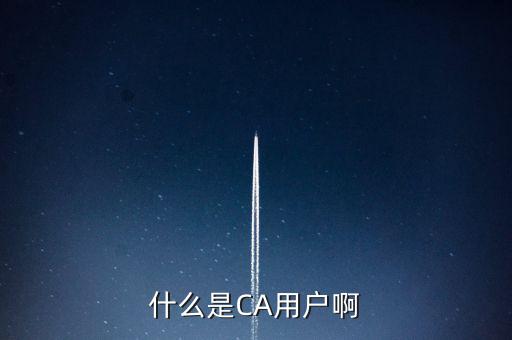稅務(wù)總局ca系統(tǒng)是什么意思，Ca是什么