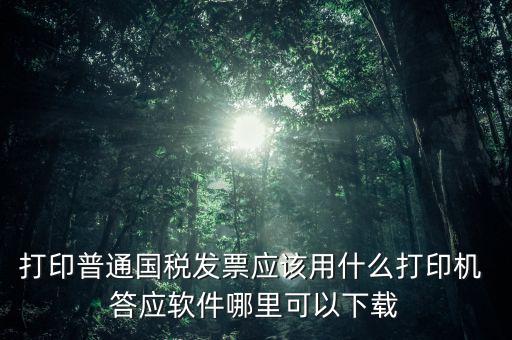 打國稅發(fā)票用什么軟件，打印普通國稅發(fā)票應(yīng)該用什么打印機(jī) 答應(yīng)軟件哪里可以下載