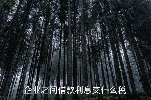 公司借款涉及到什么稅，借款要交什么稅