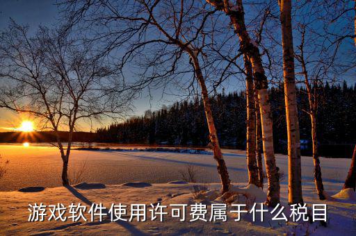 軟件使用費(fèi)交什么稅，軟件使用費(fèi)應(yīng)開國(guó)稅發(fā)票還是地稅發(fā)票