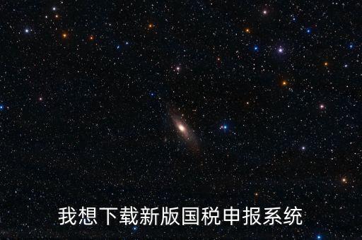 有什么報(bào)稅系統(tǒng)下載，我想下載新版國(guó)稅申報(bào)系統(tǒng)