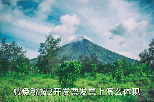 發(fā)票減免原因是什么意思，發(fā)票單上已免是什么意思