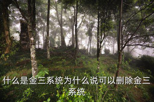 國稅金三系統(tǒng)是什么，什么是金三系統(tǒng)為什么說可以刪除金三系統(tǒng)