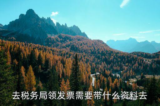 領定額發(fā)票帶什么，去稅務局領發(fā)票需要帶什么資料去