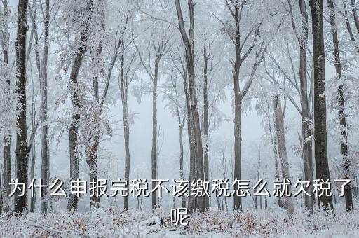 為什么國稅欠稅不催繳，因稅務機關原因未能及時繳納稅款是否屬于欠稅