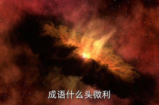 什么是微利，微保是什么怎么進(jìn)入微保誰知道