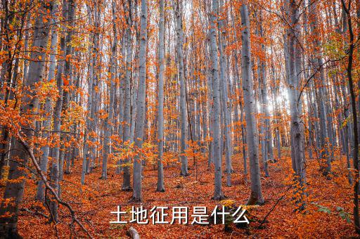 什么是土地報征，什么是征集土地