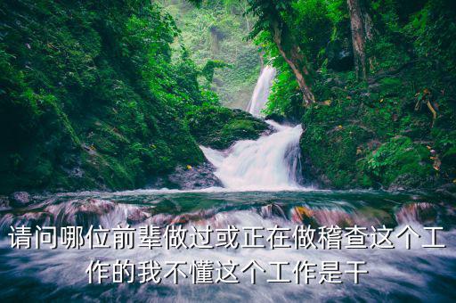 烏魯木齊稅務(wù)稽查是干什么的，稽核是一種什么樣的工作