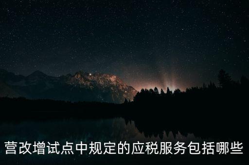 什么是應(yīng)稅服務(wù)，小規(guī)模申報表中應(yīng)稅服務(wù)什么意思