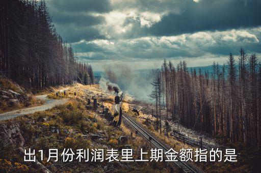 利潤表上期金額指什么，新會計(jì)制度下利潤表中本期金額和上期金額是什么意思