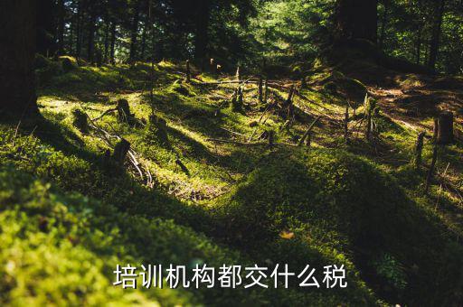 2017培訓(xùn)機構(gòu)交什么稅，培訓(xùn)機構(gòu)需要交稅的種類有多少