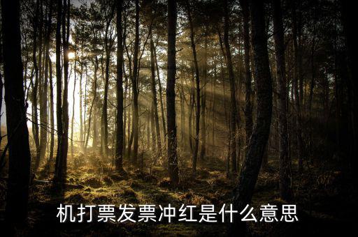 沖紅發(fā)票什么意思，單據(jù)沖紅是什么意思
