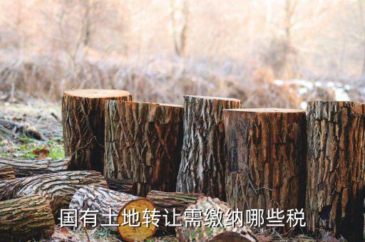 土地出讓交什么稅，國有土地轉讓需繳納哪些稅