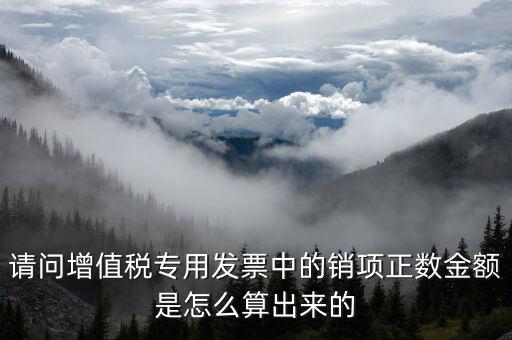 銷項(xiàng)正數(shù)金額是什么意思，銷項(xiàng)正數(shù)金額銷項(xiàng)負(fù)廢金額銷項(xiàng)負(fù)數(shù)金額是什么意