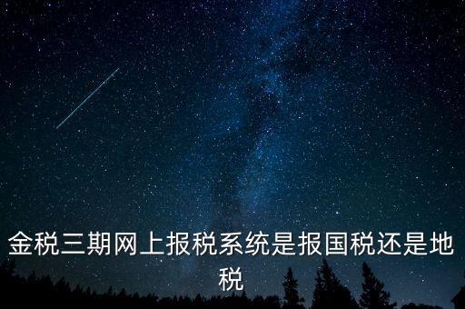 用金稅三期軟件報(bào)什么稅，金稅三期網(wǎng)上報(bào)稅系統(tǒng)是報(bào)國稅還是地稅