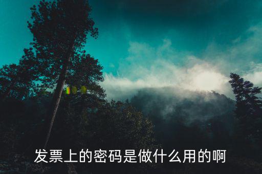 發(fā)票上的密碼是干什么的，發(fā)票上的密碼是做什么用的啊