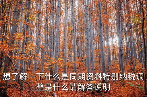 什么是特別納稅調整監(jiān)控管理階段，想了解一下什么是同期資料特別納稅調整是什么請解答說明
