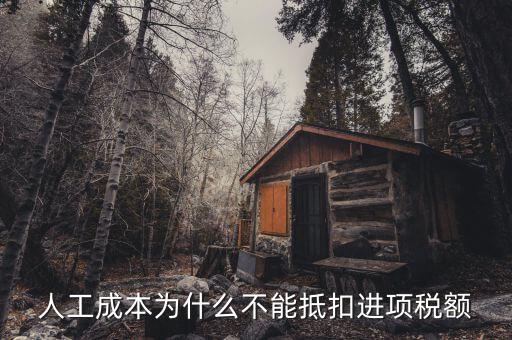 為什么不能抵扣進(jìn)項(xiàng)稅，人工成本為什么不能抵扣進(jìn)項(xiàng)稅額