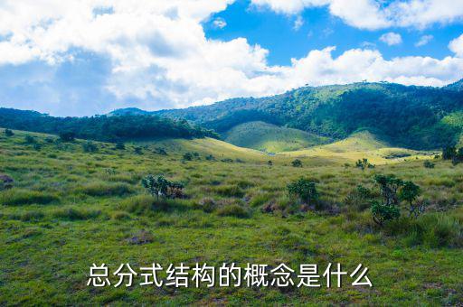 總分機構(gòu)標志是什么意思，總分機構(gòu)納稅人是什么意思