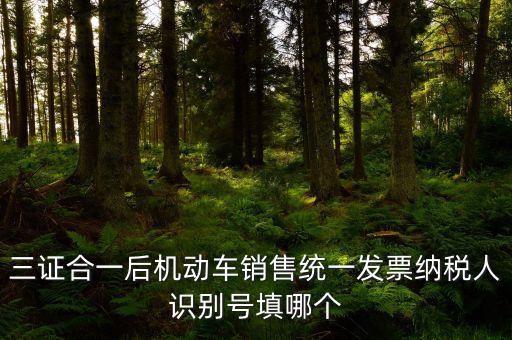 統(tǒng)一納稅識(shí)別號(hào)是什么，三證合一后機(jī)動(dòng)車銷售統(tǒng)一發(fā)票納稅人識(shí)別號(hào)填哪個(gè)
