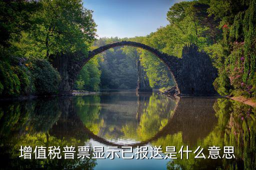 什么是報(bào)送報(bào)告，什么是報(bào)送審計(jì)