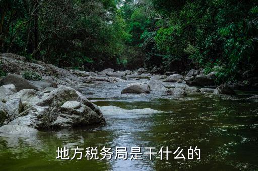 銳務(wù)局是干什么的，稅務(wù)局是在做什么的