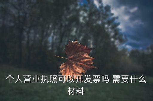 個(gè)體打印發(fā)票需要什么，個(gè)人購物開增值稅普通發(fā)票需要什么資料