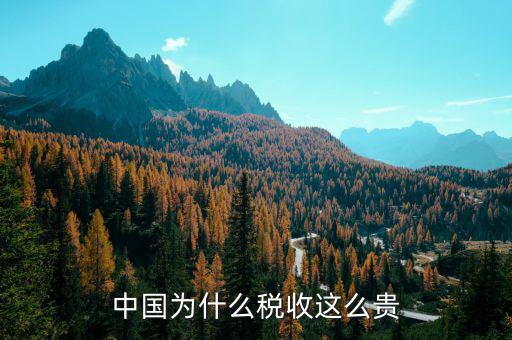 中國為什么靠稅收，中國為什么稅收這么貴