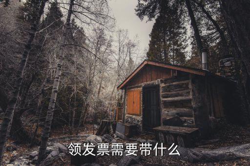 欠稅領發(fā)票需什么手，去稅務局領發(fā)票需要帶什么