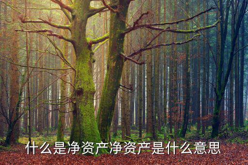 凈資產(chǎn)核定法是什么意思，凈資產(chǎn)是什么意思
