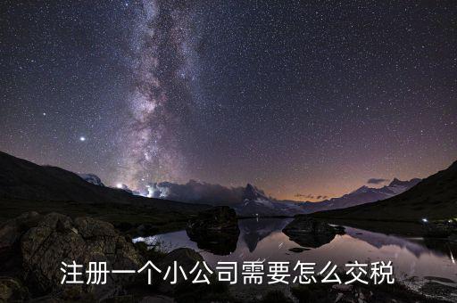 注冊一個(gè)小公司需要怎么交稅