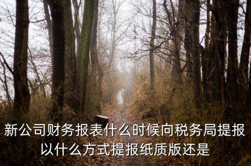 新公司財務報表什么時候向稅務局提報以什么方式提報紙質(zhì)版還是