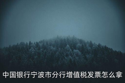 寧波國稅過發(fā)票要帶什么，浙江地區(qū)公司首次拿發(fā)票去國稅局需要帶什么證件
