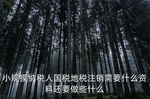 國地稅注銷需要什么，小規(guī)摸納稅人國稅地稅注銷需要什么資料還要做些什么