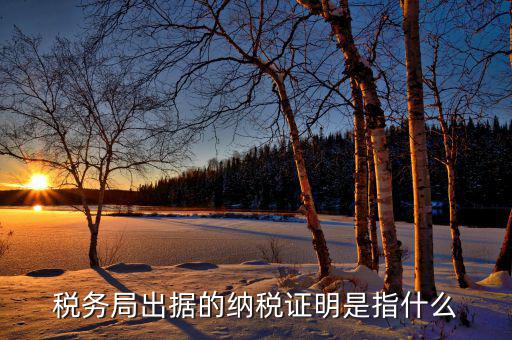 什么是稅收證明，什么是個(gè)人納稅證明