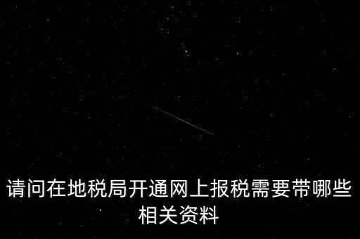 網(wǎng)上申報地稅需要什么，一般納稅人網(wǎng)上申報地稅上要報哪些稅