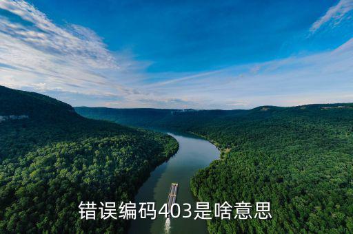 稅收分類編碼錯(cuò)誤的是什么意思，錯(cuò)誤編碼403是啥意思