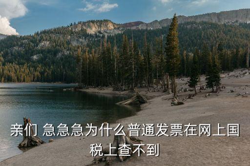 為什么發(fā)票在國(guó)稅網(wǎng)，親們 急急急為什么普通發(fā)票在網(wǎng)上國(guó)稅上查不到
