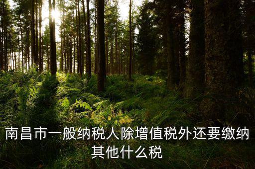 南昌縣國(guó)稅局交什么稅，南昌縣的服裝店國(guó)稅是多少