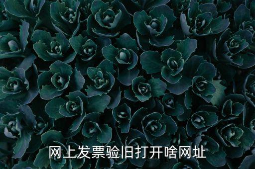 山東省網(wǎng)絡(luò)開票網(wǎng)址是什么，網(wǎng)上發(fā)票驗(yàn)舊打開啥網(wǎng)址