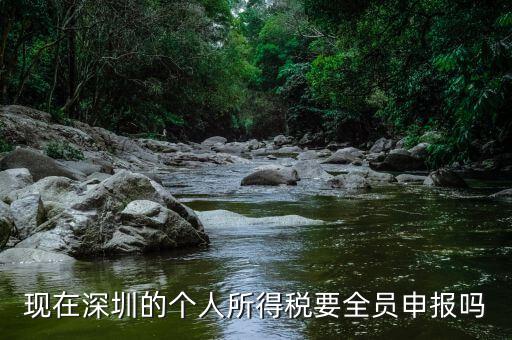 深圳為什么要個稅申報(bào)，外地企業(yè)如何在深圳為什么還要繳納個人所得稅1