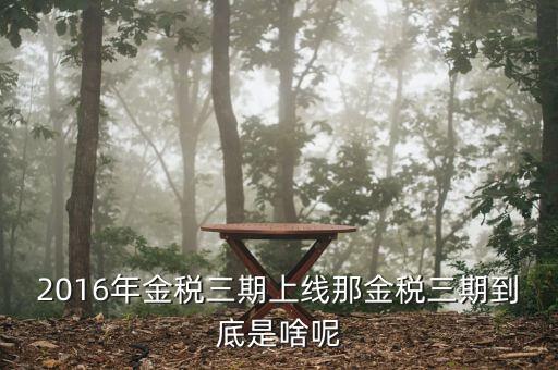 金稅三期具體什么意思，金稅三期是什么意思