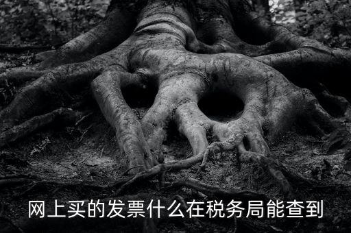 網(wǎng)上查發(fā)票能查到什么內(nèi)容，網(wǎng)上買的發(fā)票什么在稅務(wù)局能查到