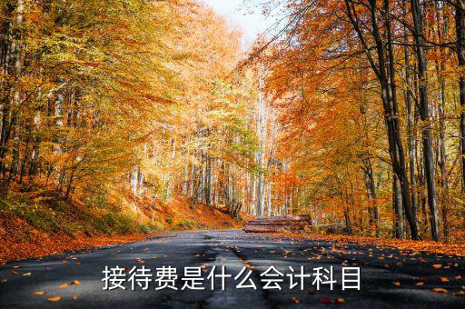 接待費(fèi)計(jì)入什么科目，業(yè)務(wù)招待費(fèi)屬于什么會(huì)計(jì)科目