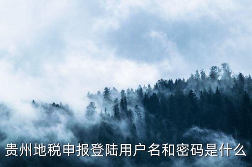 地稅登錄名密碼是什么意思，地稅申報的用戶名和密碼是什么