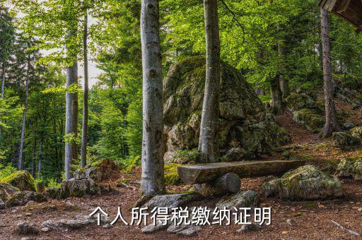個人稅務(wù)證明是什么，什么是個人納稅證明
