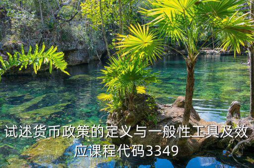 政策功能編碼是什么，試述貨幣政策的定義與一般性工具及效應(yīng)課程代碼3349