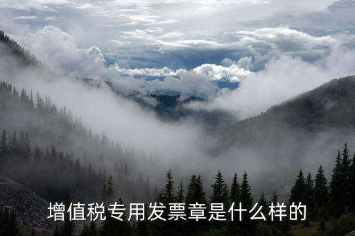 發(fā)票專用章什么樣子，增值稅專用發(fā)票章是什么樣的
